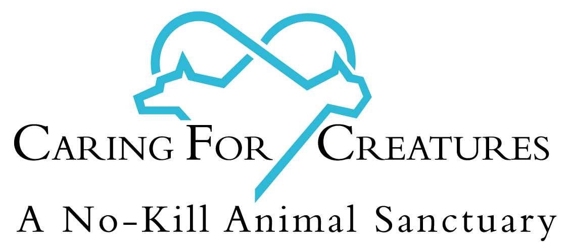 Logo for Caring For Creatures