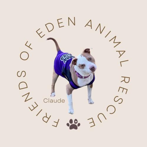 Logo for Friends Of Eden Animal Shelter