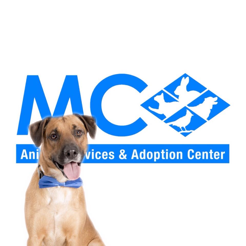 Logo for Montgomery County Office of Animal Services and Adoption Center