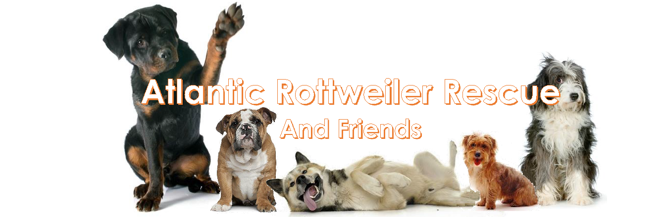 Logo for Atlantic Rottweiler Rescue And Friends