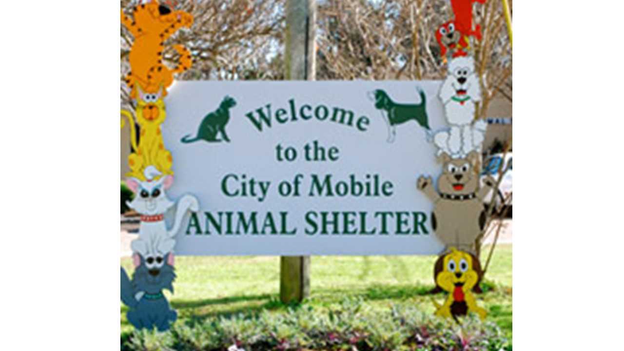 Logo for City Of Mobile Animal Shelter