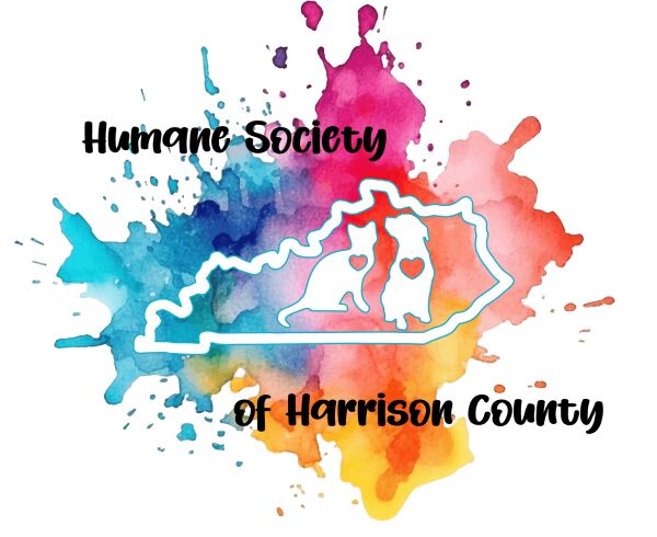 Organization's Logo