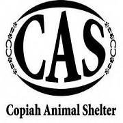 Logo for Copiah Animal Shelter
