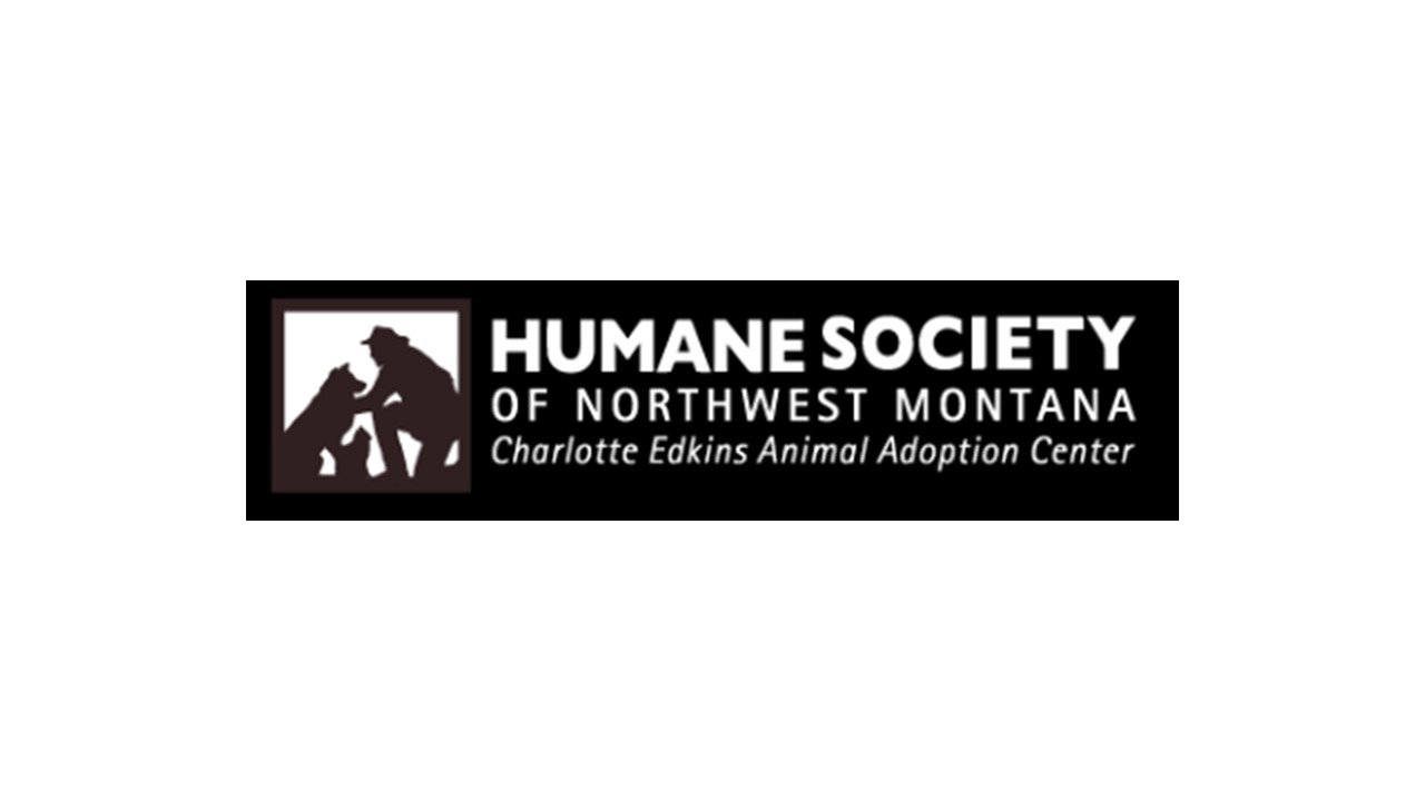 Organization's Logo