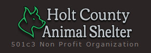 Organization's Logo
