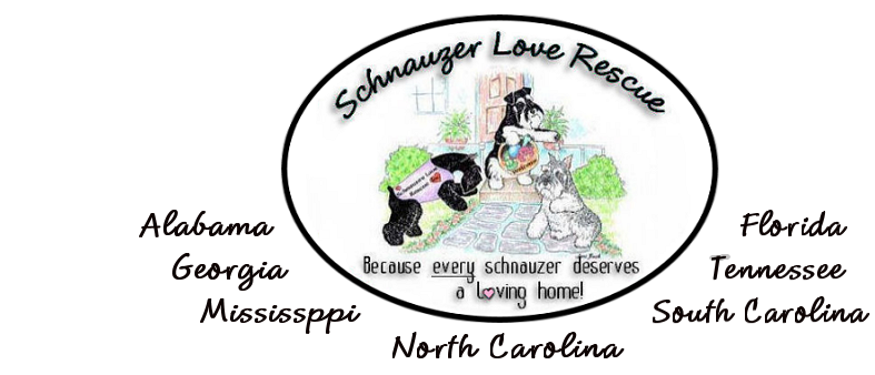 Logo for Schnauzer Love Rescue