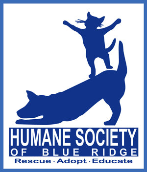 Organization's Logo