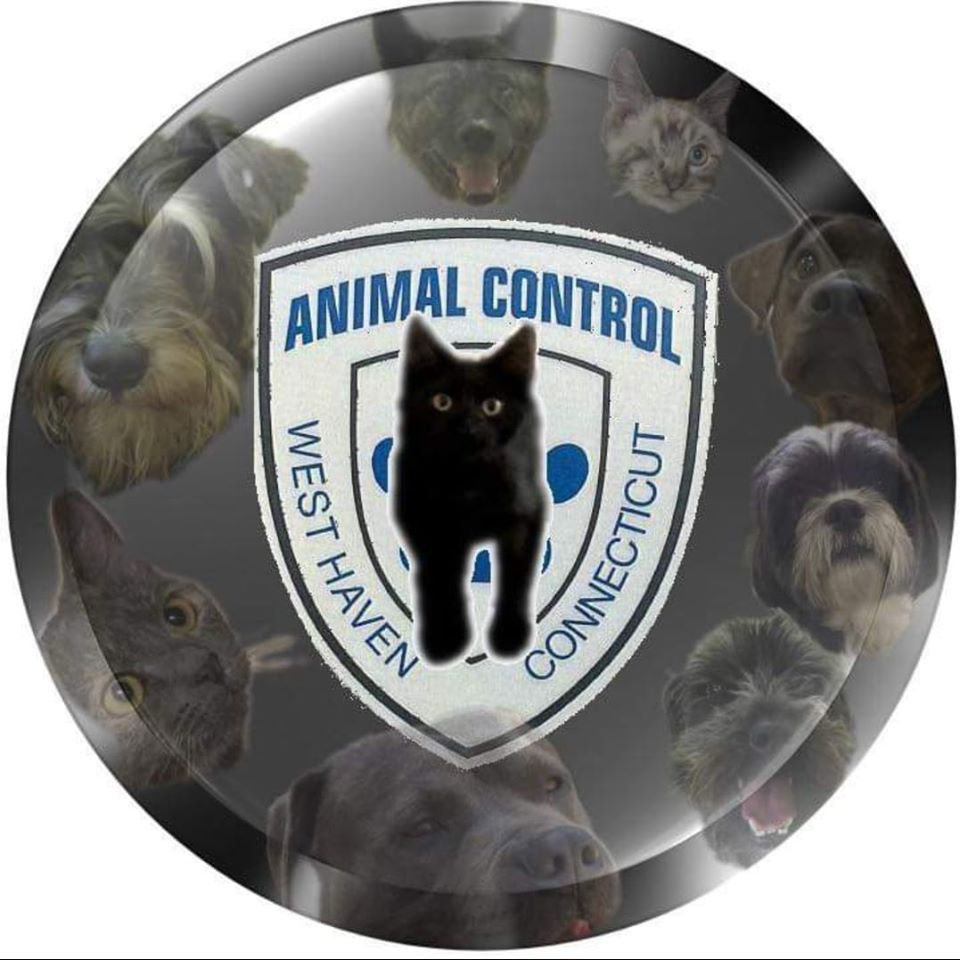 Logo for West Haven Animal Control