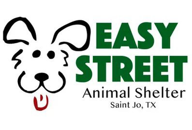 Organization's Logo