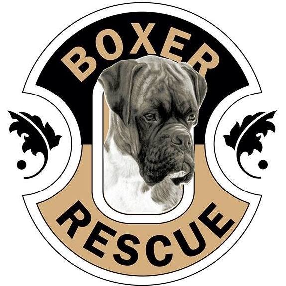 Logo for Boxer Rescue LA