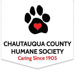 Organization's Logo