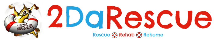 Organization's Logo