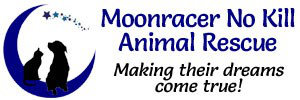 Organization's Logo
