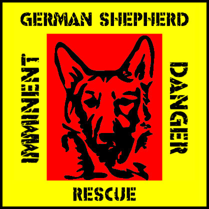 Organization's Logo