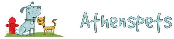 Organization's Logo
