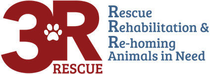 Organization's Logo