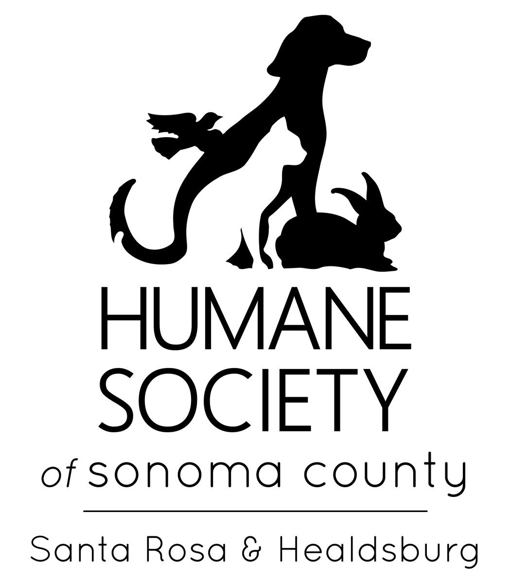 Organization's Logo