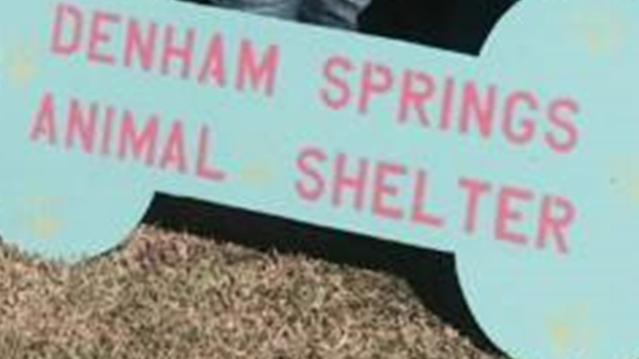Logo for Denham Springs Animal Shelter