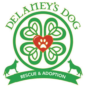 Logo for Delaney's Dog
