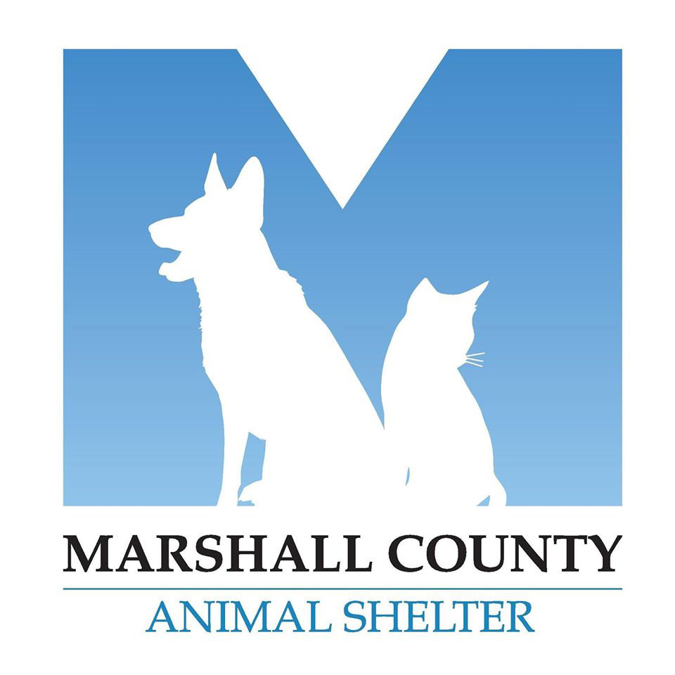 Organization's Logo