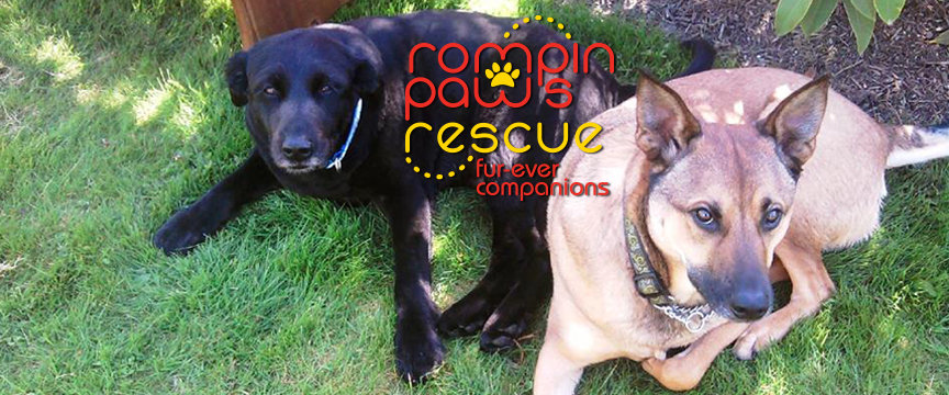 Logo for Rompin Paws Rescue