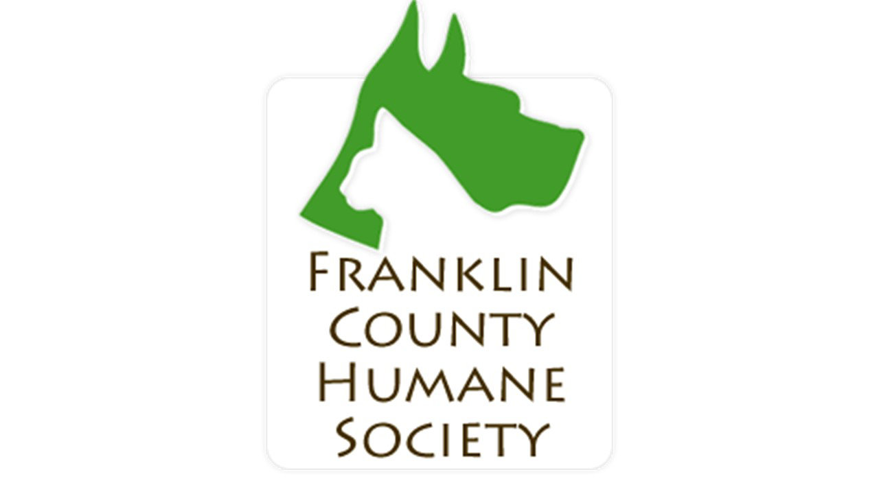 Organization's Logo