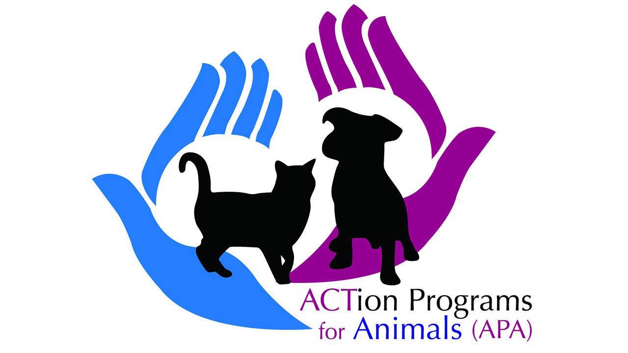 Organization's Logo