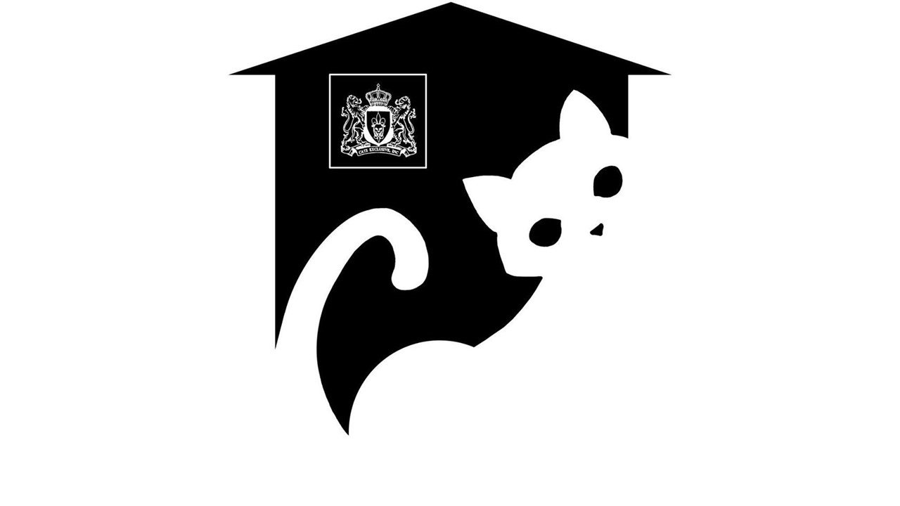 Organization's Logo