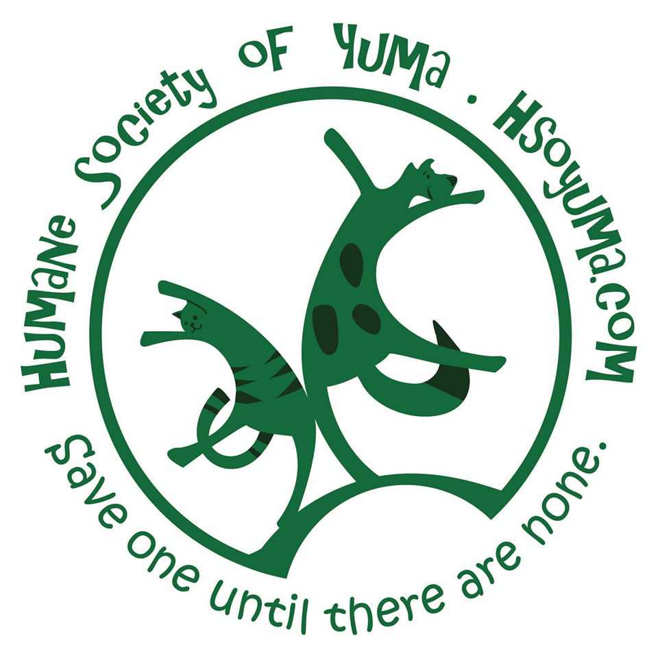 Organization's Logo