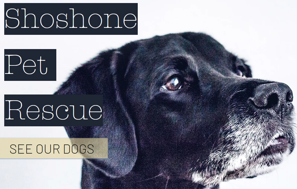 Logo for Shoshone Pet Rescue