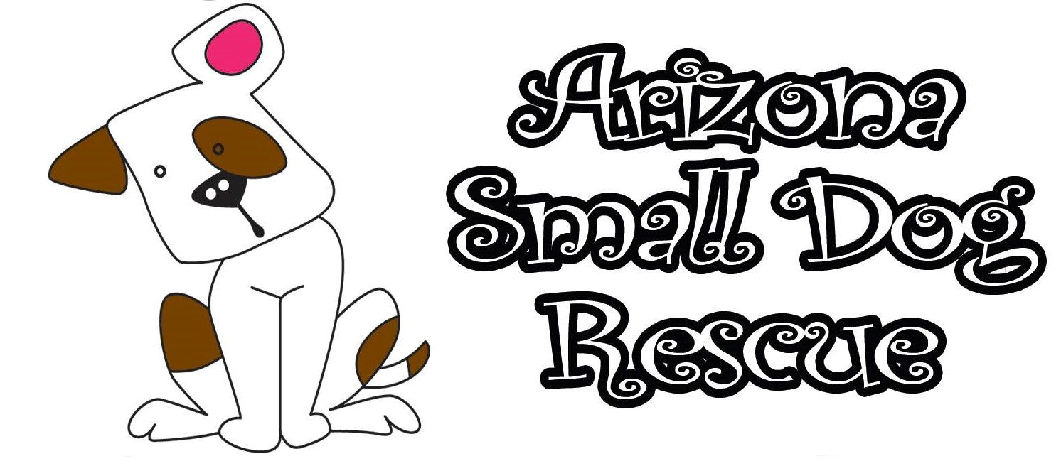 Organization's Logo
