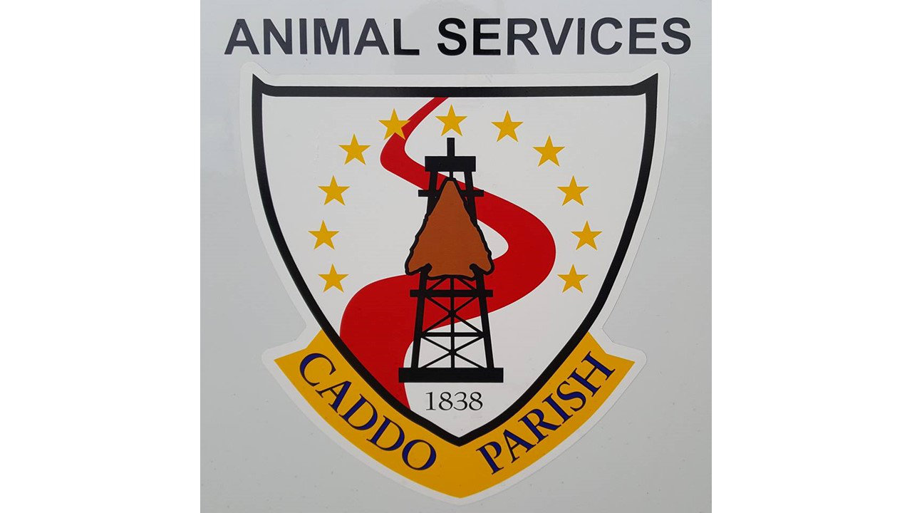 Logo for Caddo Parish Animal Services