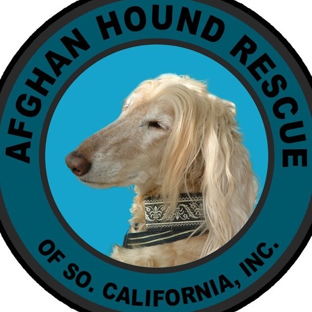 Logo for Afghan Hound Rescue Of So Cal