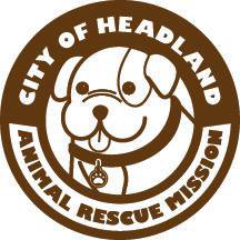 Organization's Logo