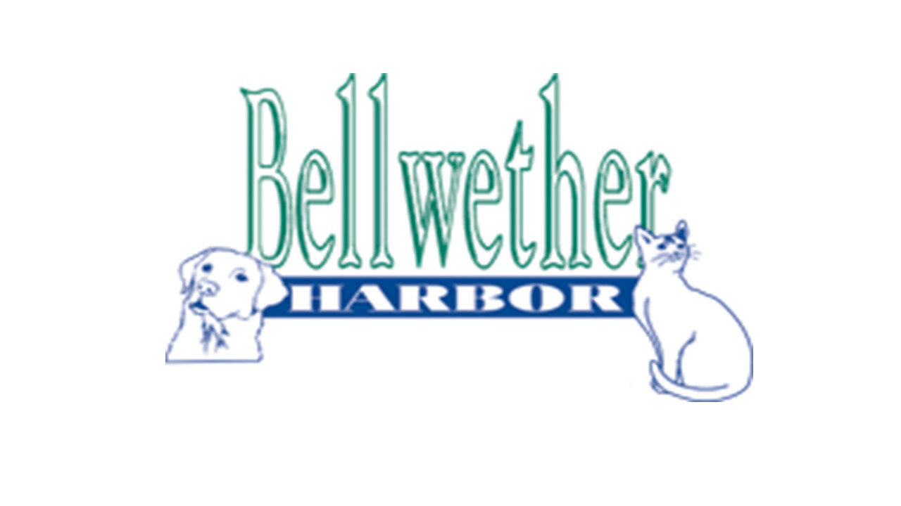 Logo for Bellwether Harbor