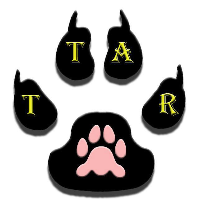 Organization's Logo