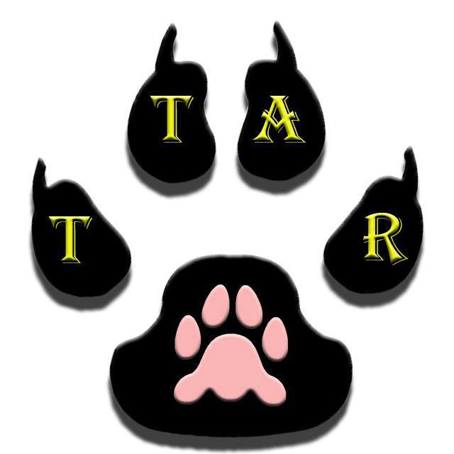 Logo for Tattered Tails Animal Rescue