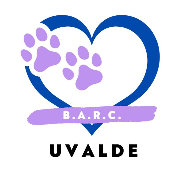 Organization's Logo