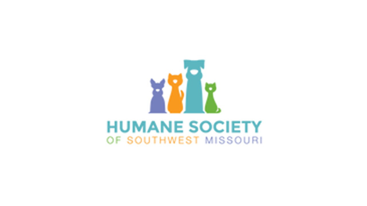 Organization's Logo