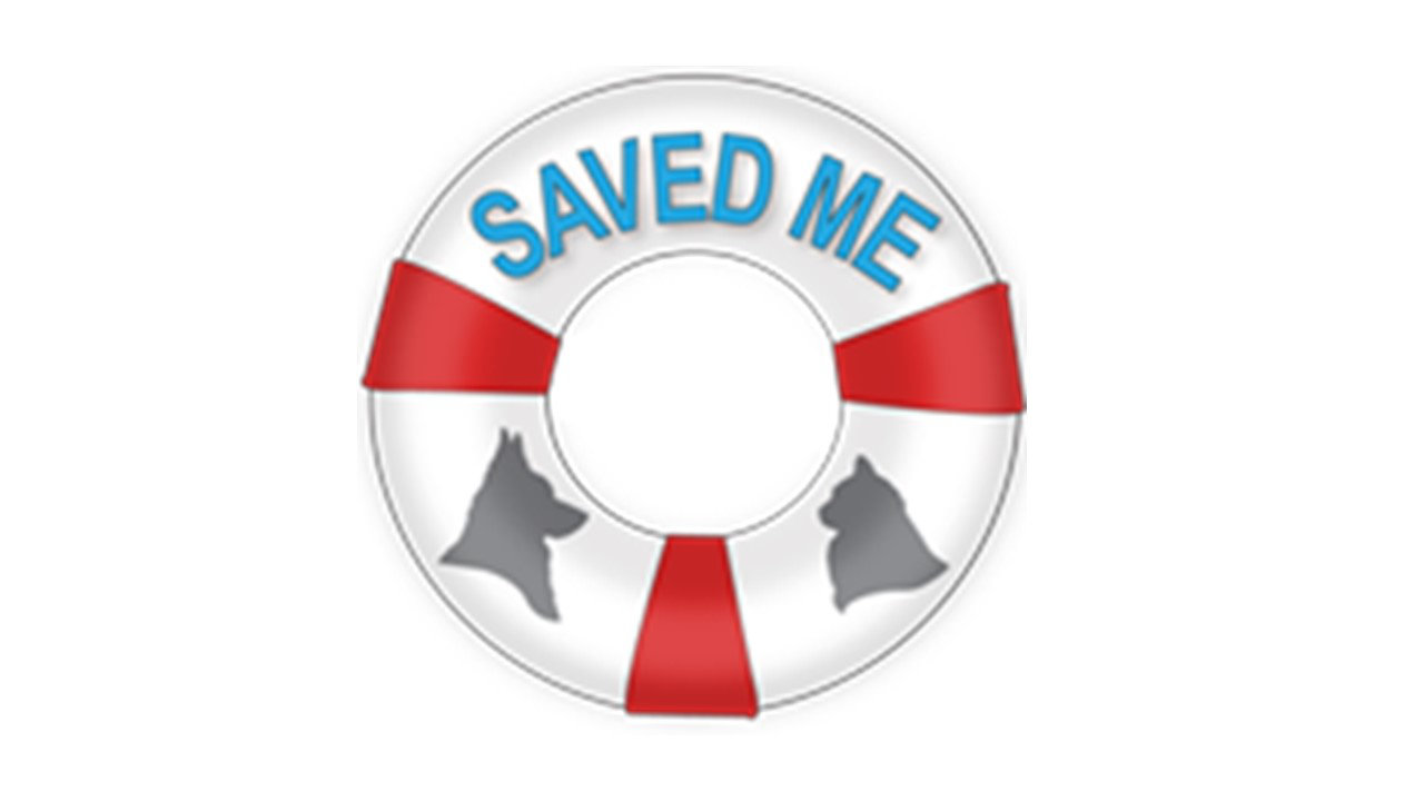 Organization's Logo