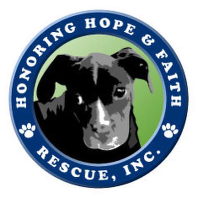 Organization's Logo