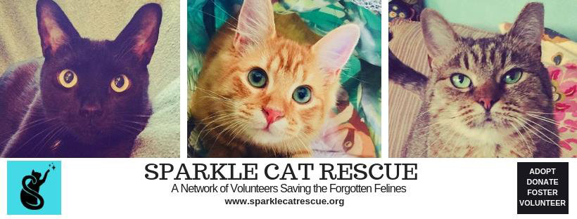 Logo for Sparkle Cat Rescue