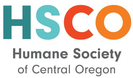 Organization's Logo
