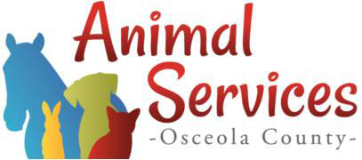 Organization's Logo