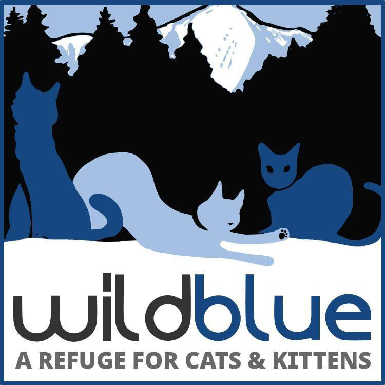 Logo for Wild Blue Cats!