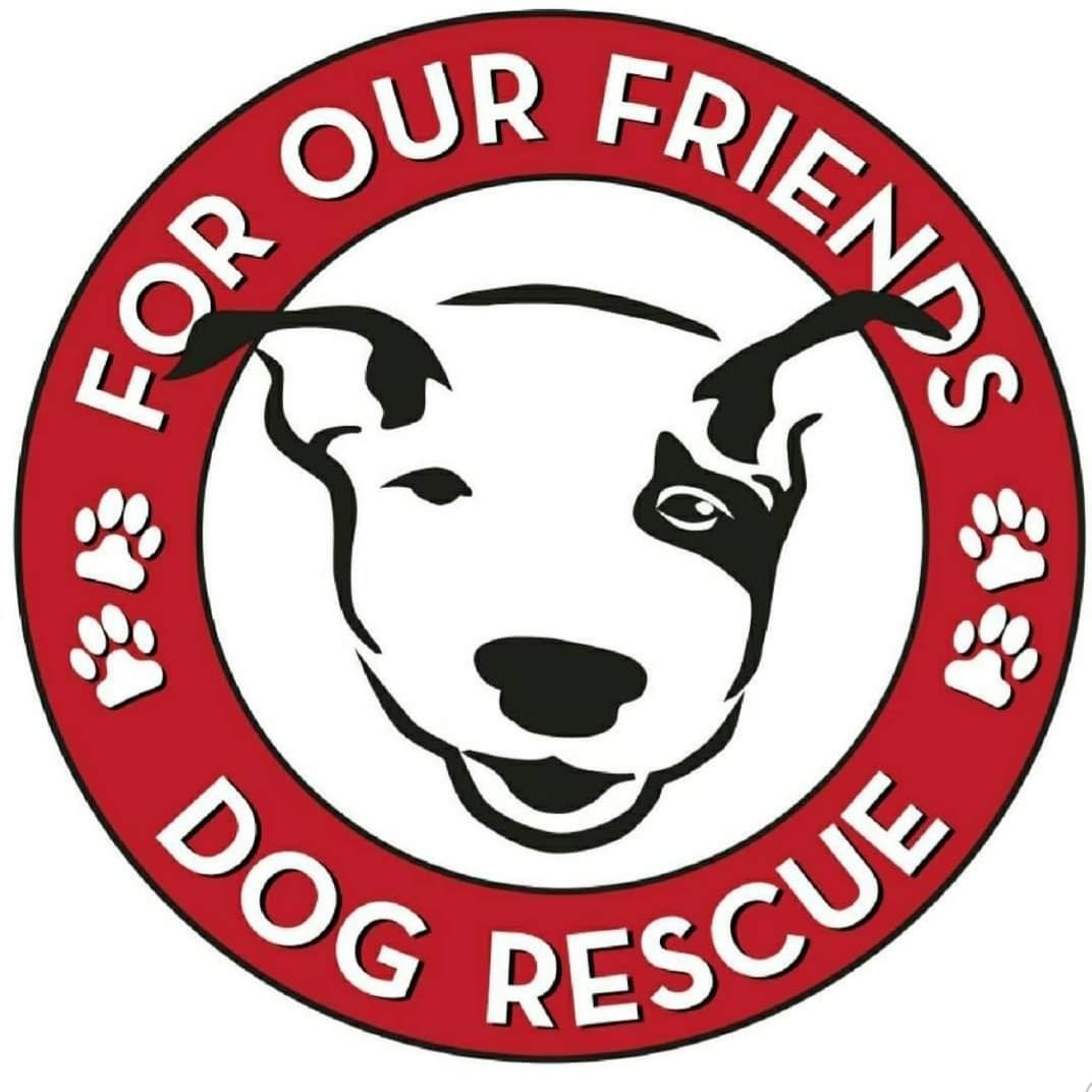 Organization's Logo