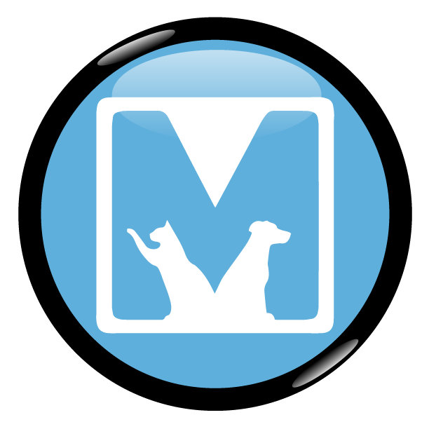 Organization's Logo