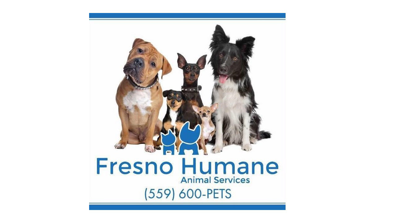 Logo for Fresno Humane Animal Services