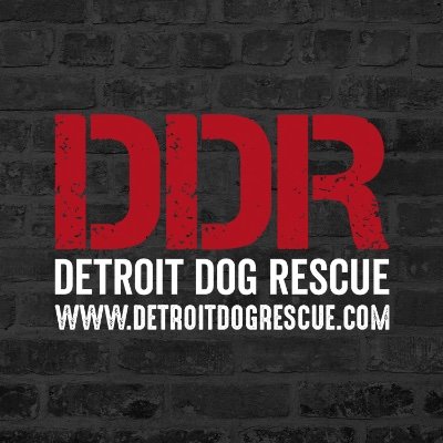 Logo for Detroit Dog Rescue