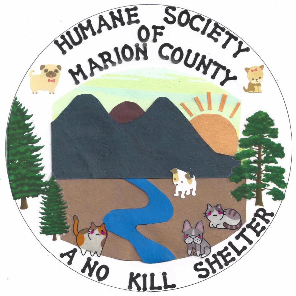 Organization's Logo